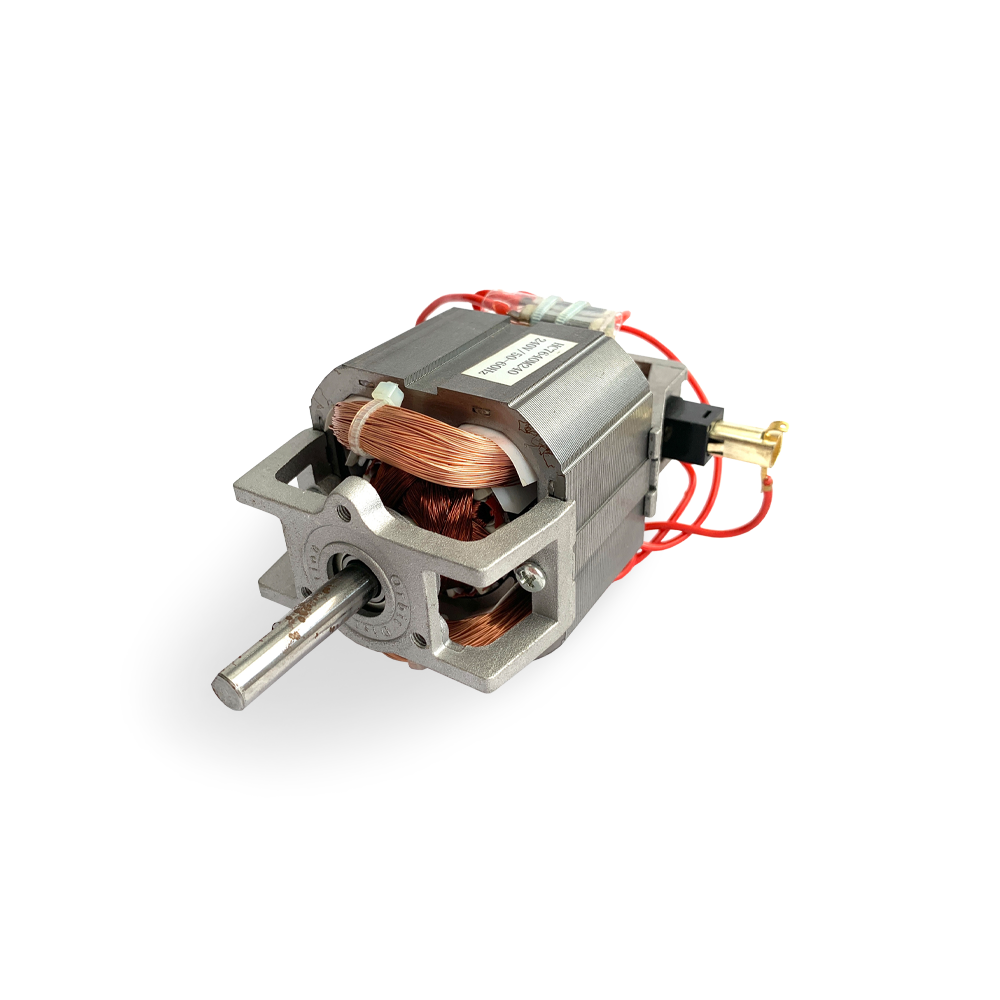 Electric Motor for HWD's